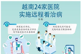 图表新闻：越南共有24家医院实施远程看治病