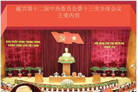 图表新闻：越共第十二届中央委员会第十三次全体会议主要内容