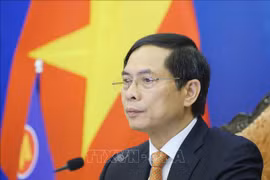 东盟与俄罗斯一致同意优先合作应对疫情