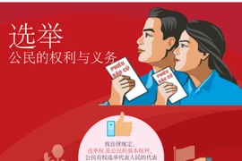 图表新闻：选举是公民的权利与义务