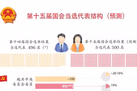 图表新闻：第十五届国会当选代表结构（预测）