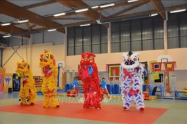 将越南麟狮龙舞推广给国际友人