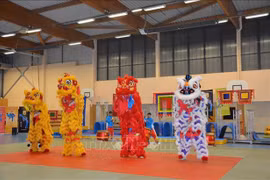 将越南麟狮龙舞推广给国际友人