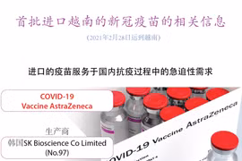 图表新闻：首批20多万剂新冠疫苗即将抵达越南