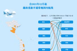 互动图表：自2021年12月起越南重新开通常规国内航线