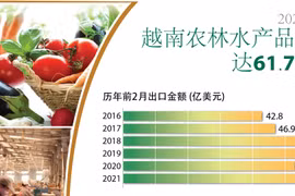 图表新闻：2021年前2月越南农林水产品出口额达61.7亿美元
