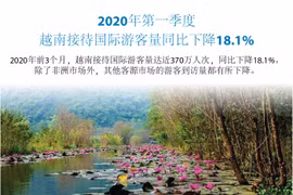 图表新闻：2020年第一季度越南接待外国游客人数同比下降18.1%