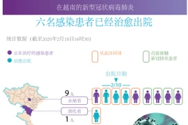 图表新闻：新冠肺炎疫情：在越南的六名患者已治愈出院