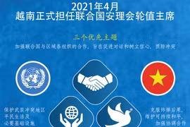 图表新闻：越南正式担任联合国安理会轮值主席