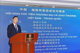 越中经贸合作第十二次会议 为双方企业带来合作商机