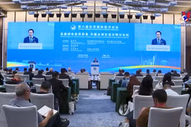 越南积极参加第六届中国国际进口博览会