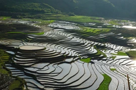 组图：层层叠叠的梯田让游客迷醉其中