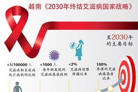 图表新闻：越南《2030年终结艾滋病国家战略》