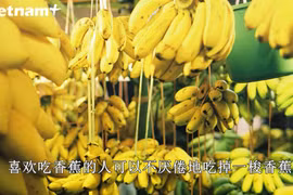 南定市著名食品赢得食者的好评