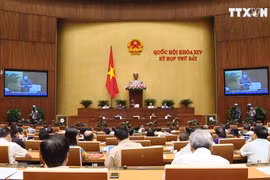 国会代表对质询活动给予高度评价