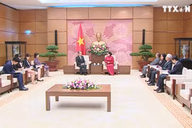 越南国会主席阮氏金银会见中国驻越大使熊波