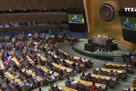 越南将努力做好联合国安理会非常任理事国的任务