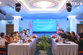 第10届越南-新加坡防务政策对话在胡志明市开幕