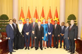 阮富仲接受各国新任驻越大使递交国书（组图）