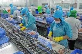越南查鱼出口强劲增长