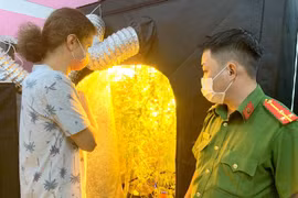平顺省人民检察院对一名非法种植和持有大麻的外国人提起公诉