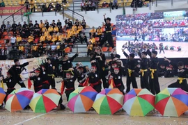 2018年胡志明市国际传统武术节（组图）