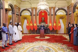 越共中央总书记、国家主席苏林接受多国大使递交的国书。图自越通社