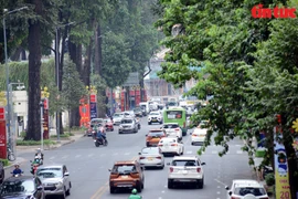 组图：胡志明市的林荫“隧道 为炎炎夏日“送清凉”