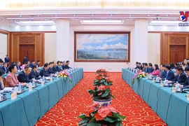 越南国会主席王廷惠会见中国云南省省委书记王宁