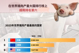 图表新闻：越南是世界第六大猪肉生产大国