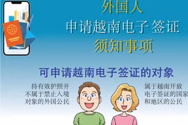 图表新闻：外国人申请越南电子签证须知事项