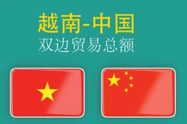 图表新闻：越中贸易关系取得令人瞩目成就