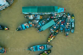 组图：芹苴市充满吸引力的旅游目的地--丐冷水上集市