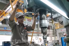 越南生产链逐渐适应新常态