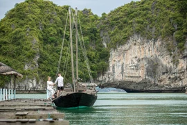 新冠疫情再次爆发 旅游企业如何才能屹立不倒