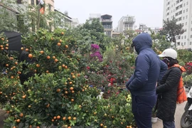 河内市传统集市——首都河内之美