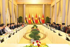 阮富仲与文莱苏丹哈吉·哈桑纳尔·博尔基亚举行会谈