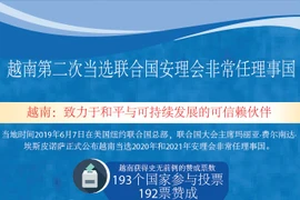 图表新闻：越南第二次当选联合国安理会非常任理事国