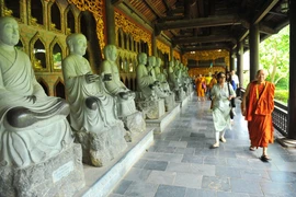 越南旅游：前5月宁平省长安名胜群接待游客近500万人次（组图）