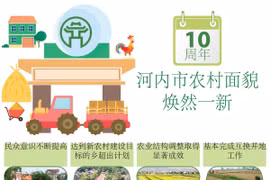 图表新闻：河内市农村面貌焕然一新