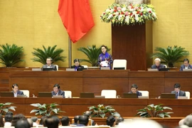 第十四届国会第八次会议：尽早对越南货物原产地规则作出详细规定