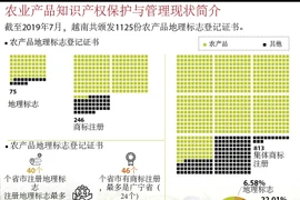 图表新闻：农业产品知识产权保护与管理现状简介