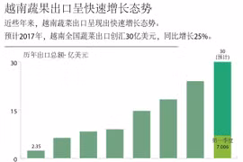 越南蔬果出口呈快速增长态势。