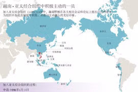 越南 - 亚太经合组织中积极主动的一员