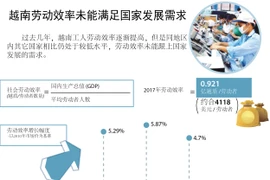 图表新闻：越南劳动效率未能满足国家发展需求