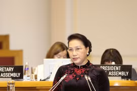 越南国会主席阮氏金银发表讲话（图片来源：越通社）