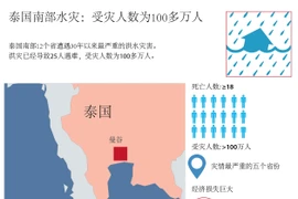 泰国南部水灾：受灾人数为100多万人 