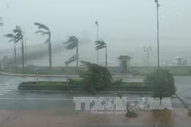 第十号台风已登陆广平省，造成特大暴雨，内陆普遍出现​12-13级大风。