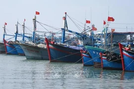 解除IUU“黄牌警告”：越南渔业界下定决心打击非法捕捞