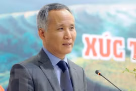 工贸部副部长陈国庆：充分利用越英自贸协定带来的机遇 